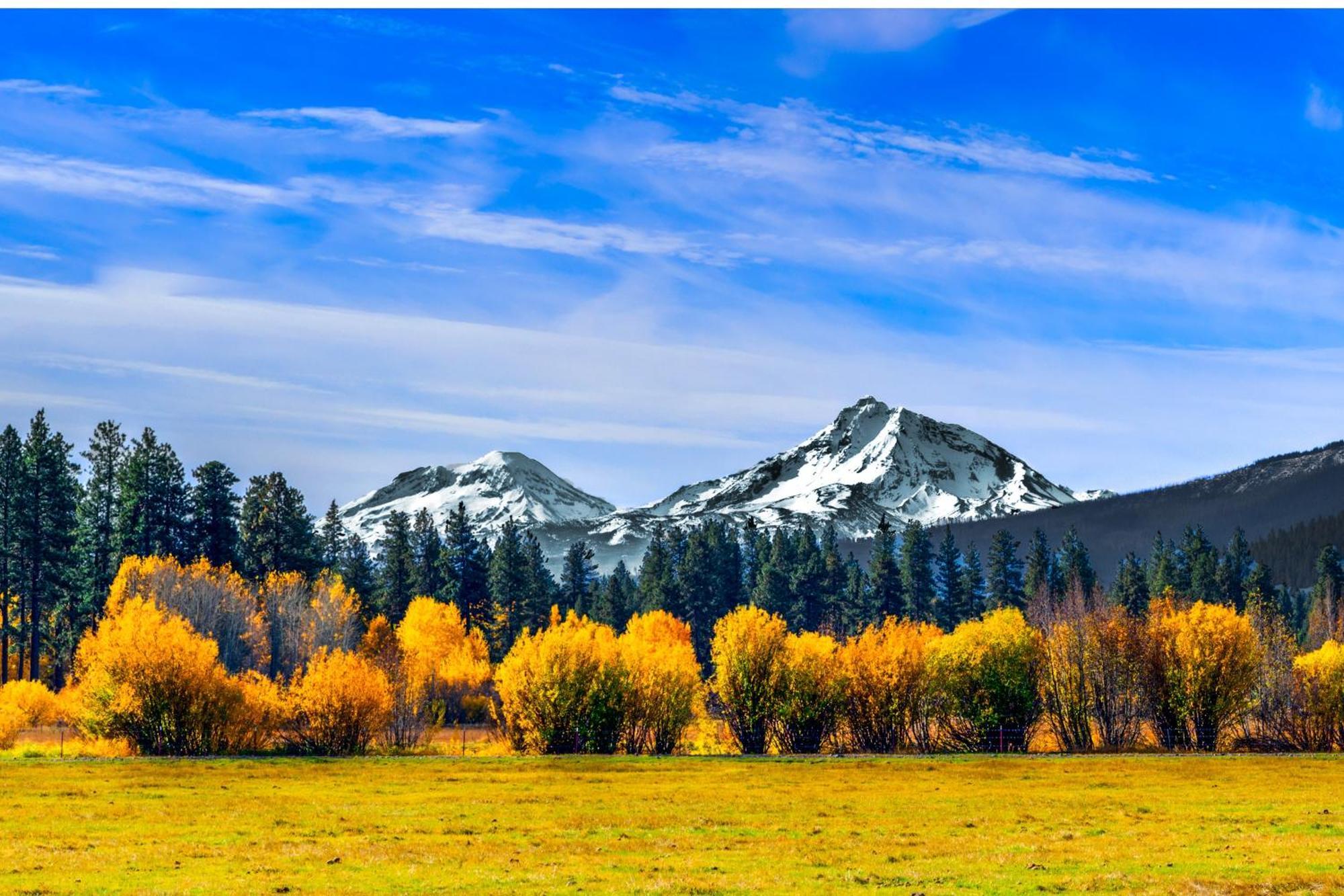 Black Butte Ranch: Hilltop Getaway Villa Exteriör bild